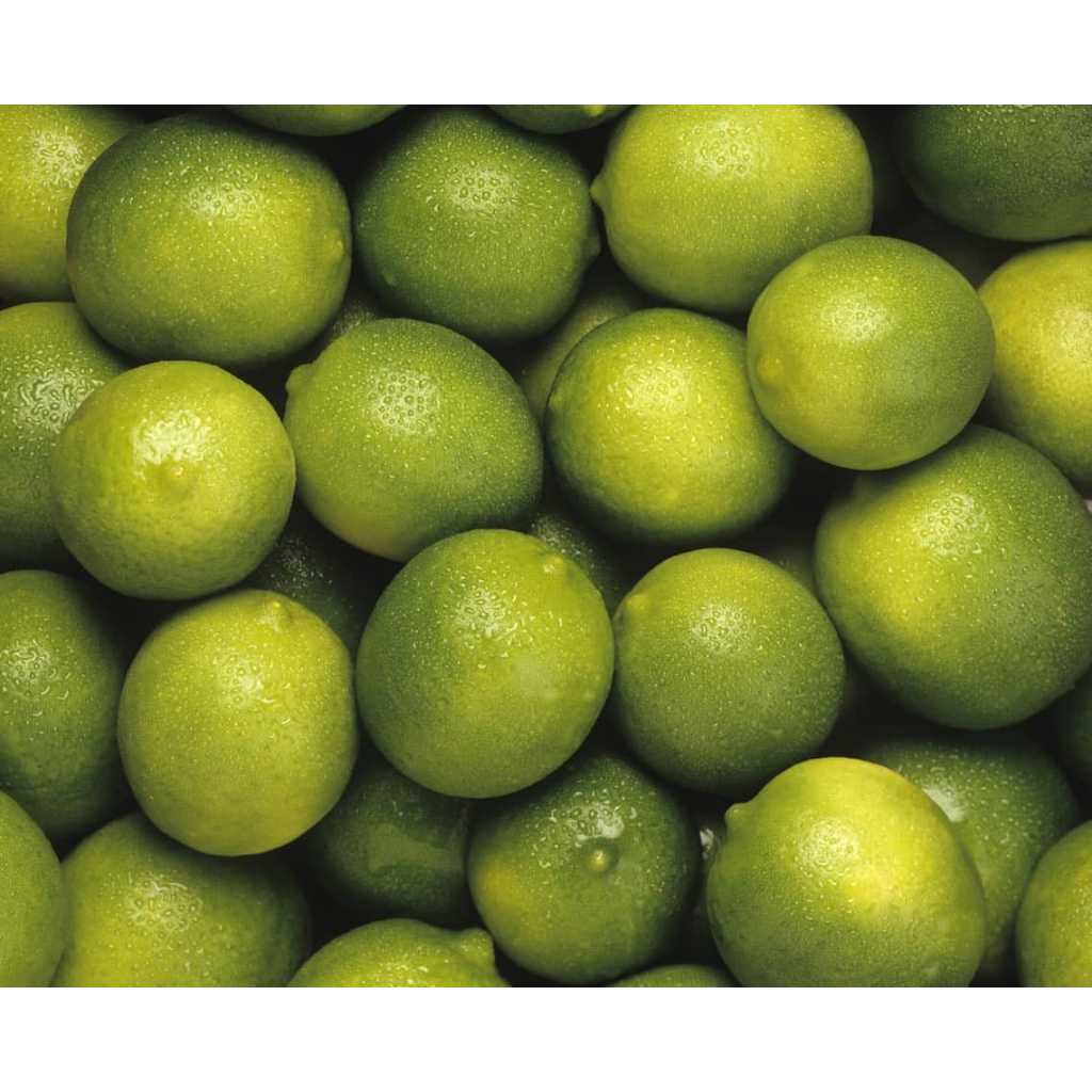 

Jeruk Nipis Segar 250g-1kg