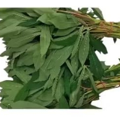 

INSTAN - DAUN SINGKONG PER IKAT