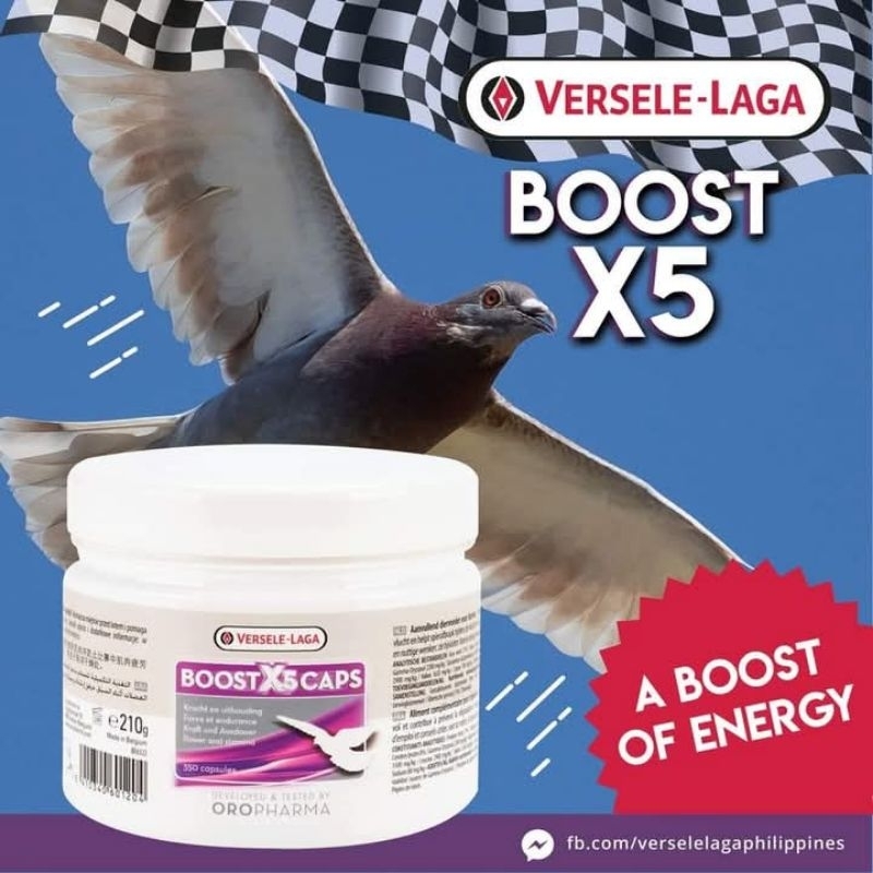 BOOSTX5 VITAMIN DOPING BURUNG MERPATI BOOST X5 VERSALAGA IMPORT