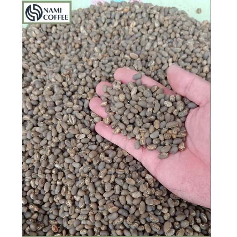 

Biji Kopi Gayo Arabica Peaberry Kopi Lanang Premium Semiwash kopi Biji Tunggal