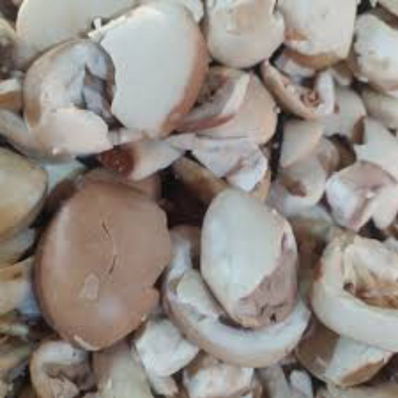 

terlaris jual buah Pucung asli segar pres