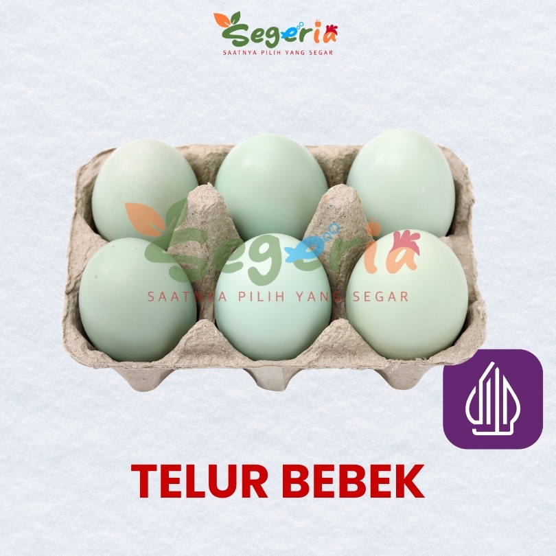 

TELUR BEBEK