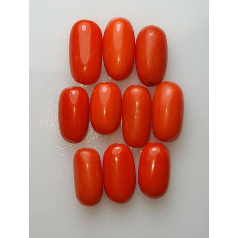 JUAL BATU MARJAN 《مَرْجَان》*asli Laut MEDITERANIA..*kualitas super kristalsuper proslen #NTE ..alami