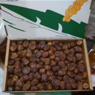 

Buah Kurma Sukari 3 Kg