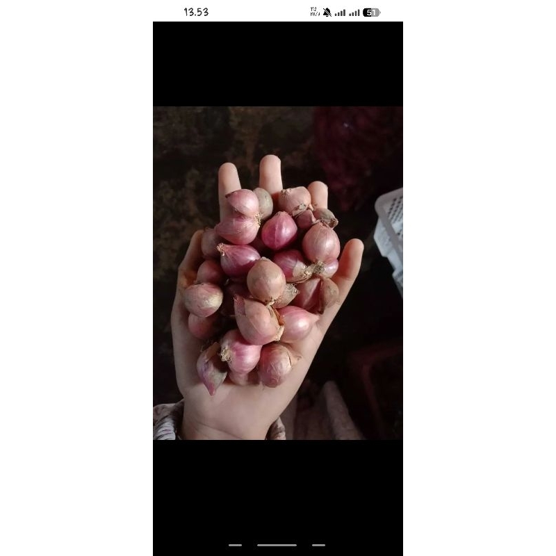 

bawang merah harga terjangkau bumbu dapur