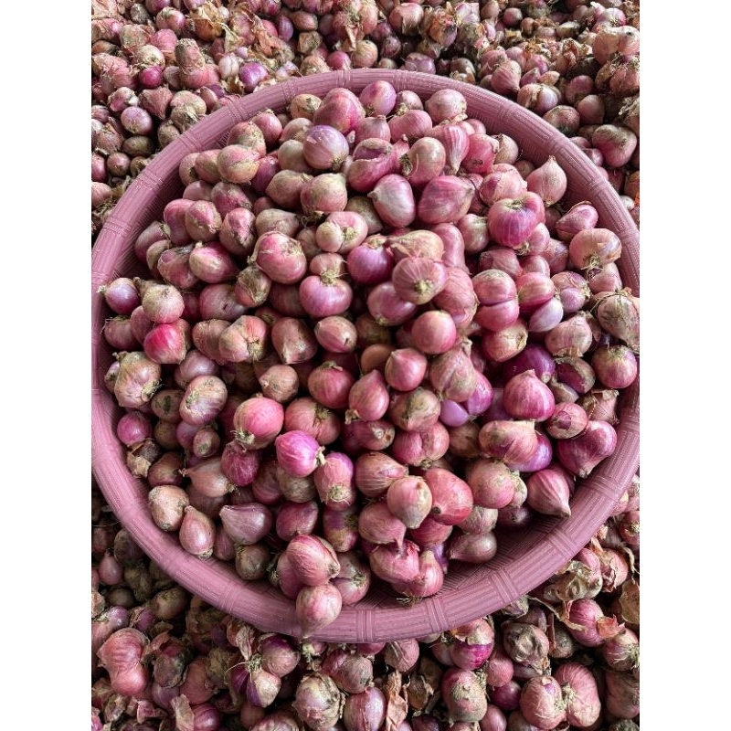 

Bawang merah Nganjuk