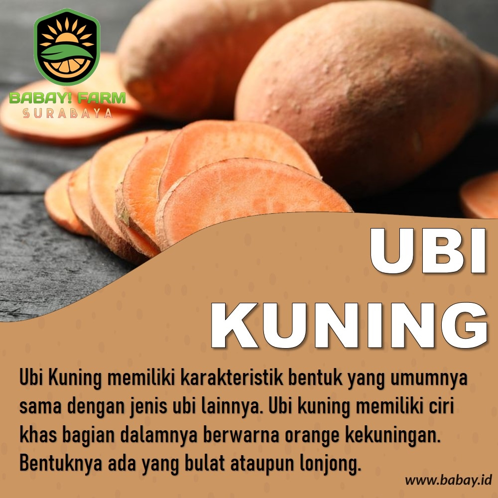 

ubi kuning ketela telo 250 500 gr / 1 kg - 500 Gr