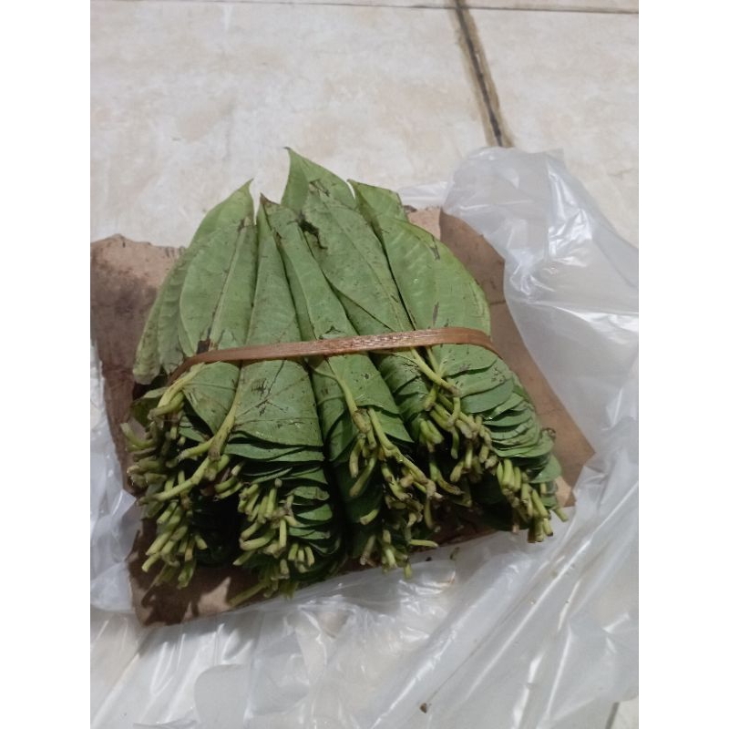 

sirihmedan1pedi/1ikat5kepitan