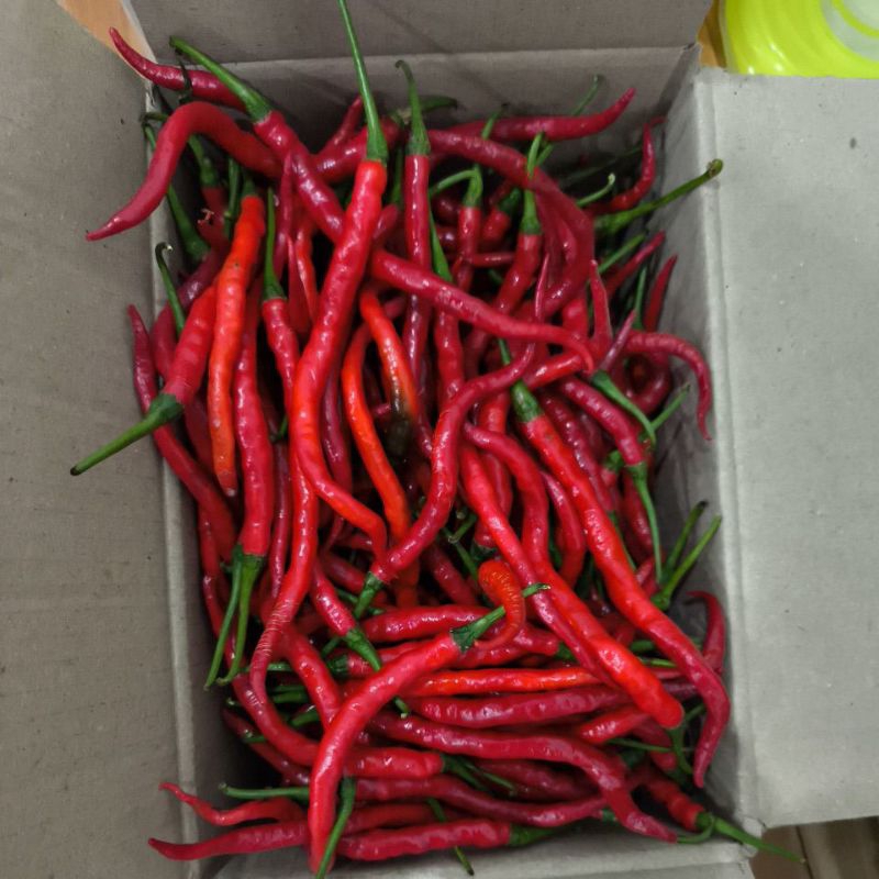 

Campur cabe rawit & cabe keriting kemasan 1kg