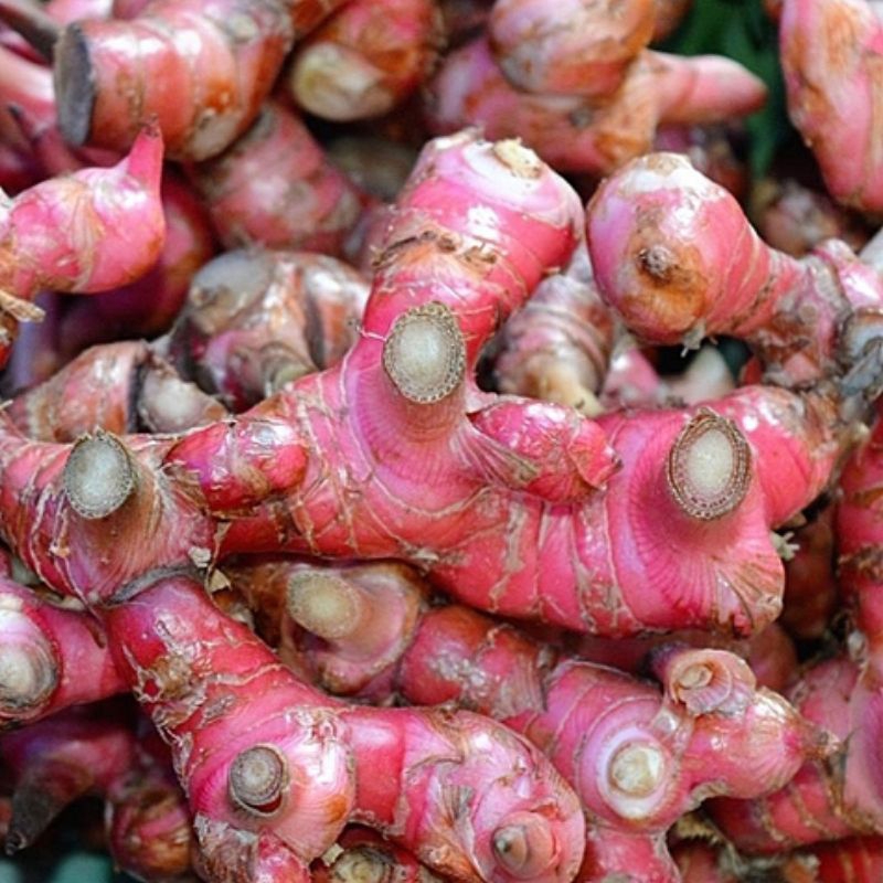 

1KG Jahe Merah Segar