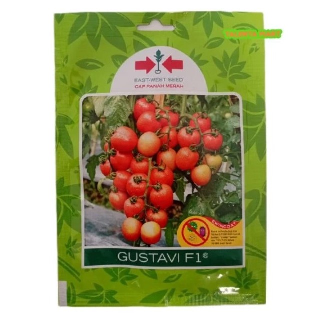 

BENIH/BIBIT TOMAT GUSTAVI F1 150 BUTIR