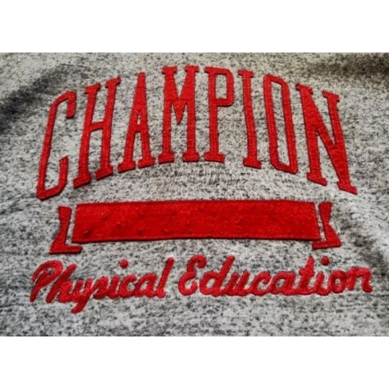 hoodie champion full bordir original