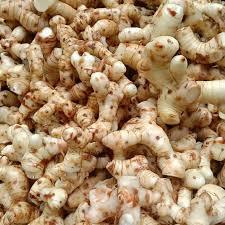 lengkuas putih segar murah meriah 1 kg