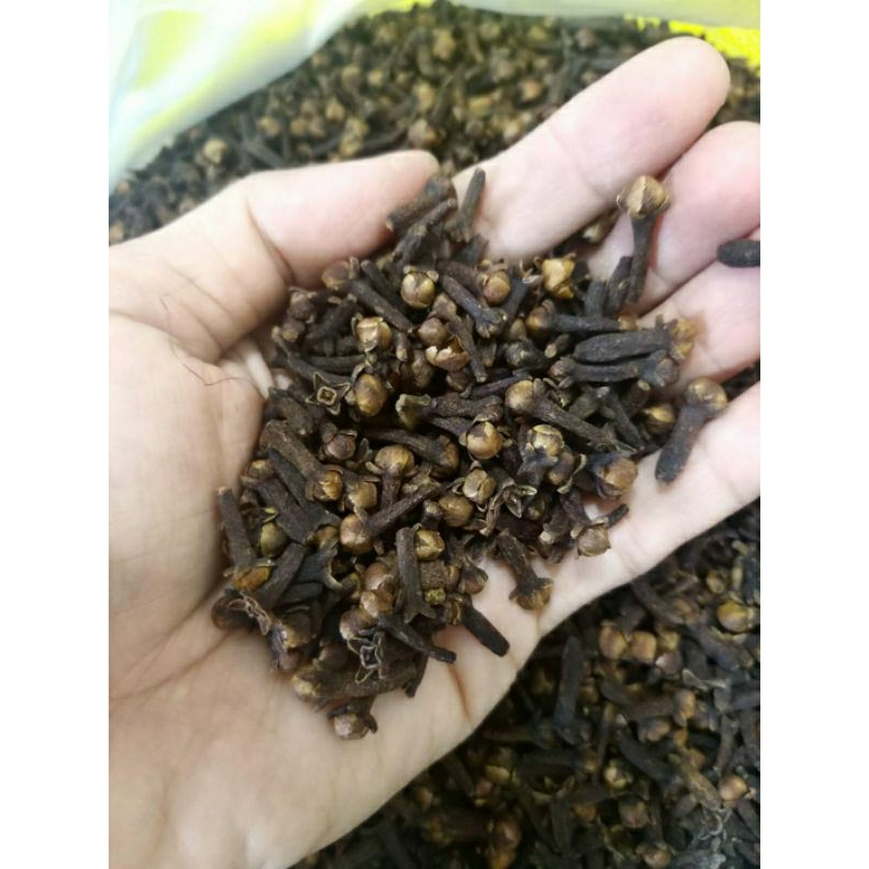 

Cengkeh Kering Bumbu Masak