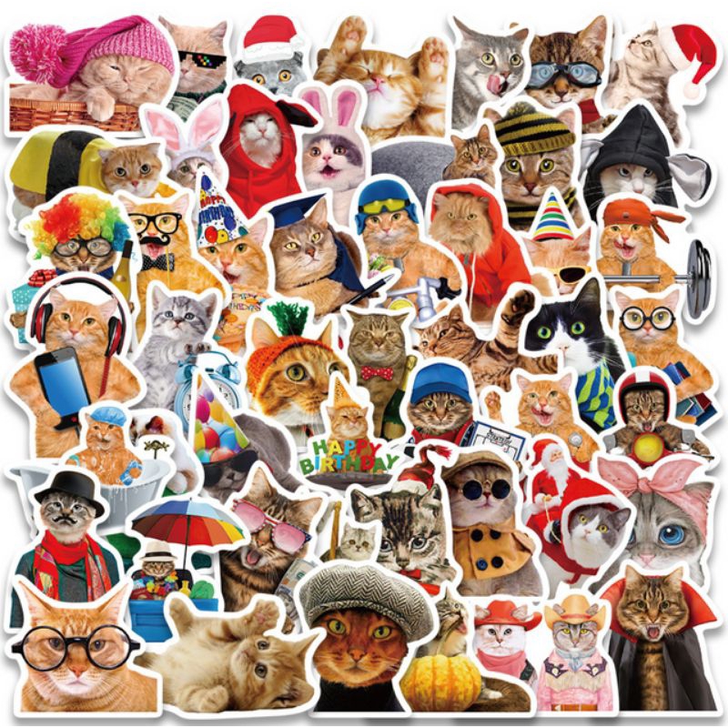 

COD Stiker Kucing Lucu Stiker Tumbler Stiker Helm Stiker Laptop Aesthetic Sticker Terbaru Stiker Hp Stiker Murah Stiker Aesthetic