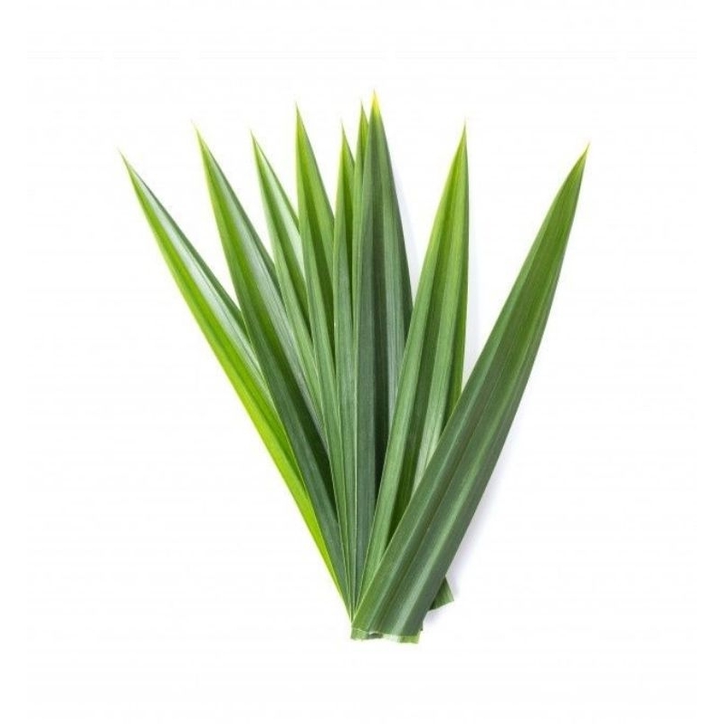 

daun pandan segarr di ambil langsung bila ada orderan masuk 200gr