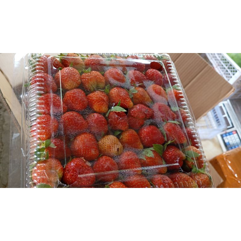 

strawberry fress 1 pack besar