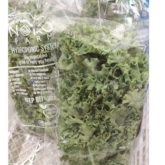 

Kale Hijau Hidroponik