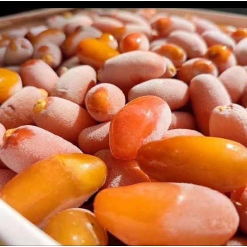 

Kurma Muda Ruqtob Segar pack 1kg