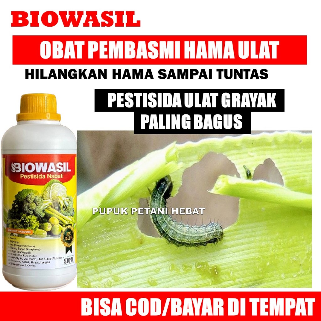 (TERLARIS) BIOWASIL PESTISIDA PALING LARIS HAMA ULAT JAGUNG, SAWI, KUBIS, Obat Hama Ulat Jagung Pali