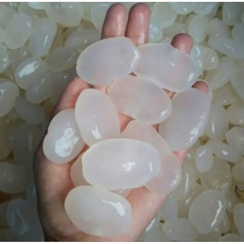 

Kolang kaling Mentah Super 1 Kg Fresh Untuk Berbagai Manisan - 1 kg