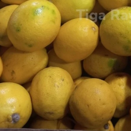 

jeruk lemon impor