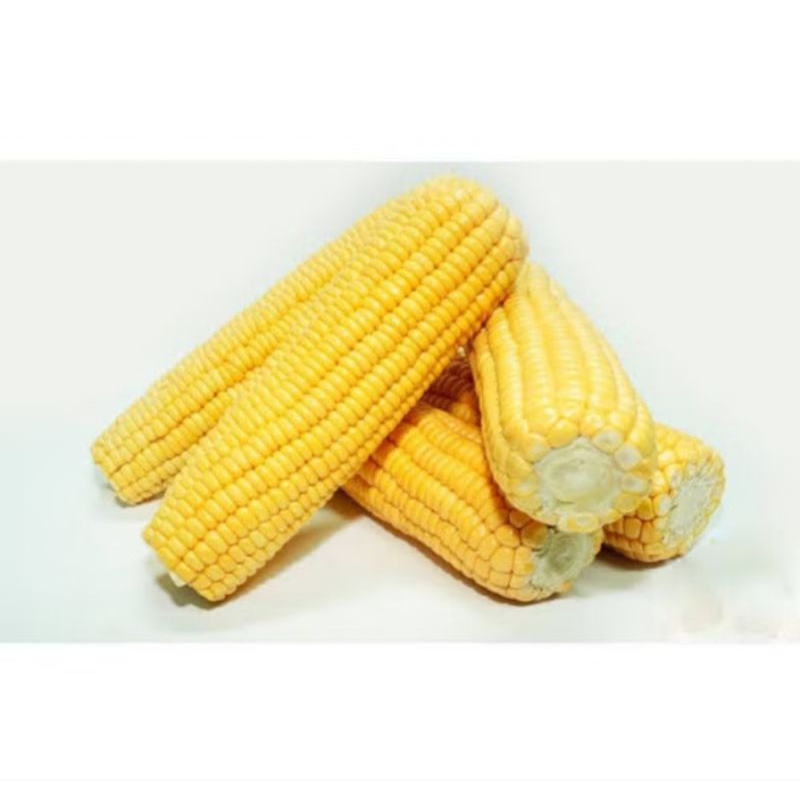 

JAGUNG MANIS Super Fress 1 Kg