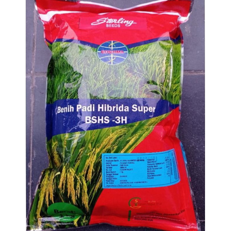 benih padi sterling bshs3h