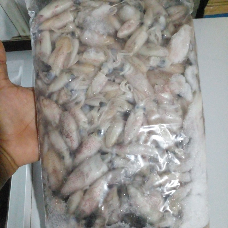 

BABY CUMI 1kg (HANYA PENGIRIMAN INSTANT)