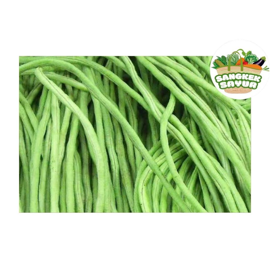 

Kacang Panjang 250Gram - sangkek.sayur PALEMBANG
