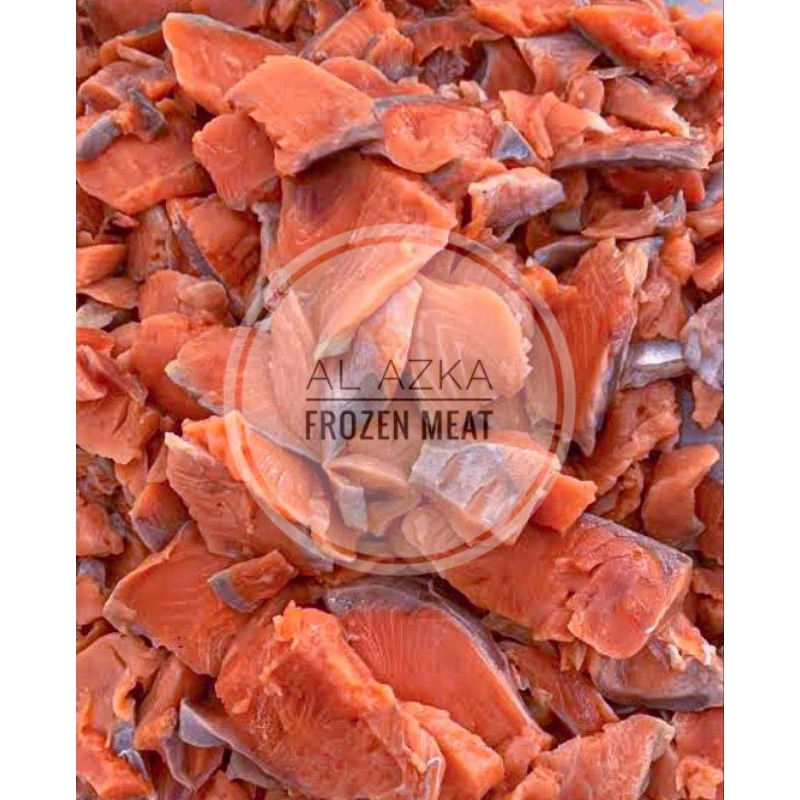 

Daging Ikan Salmon / Tetelan Salmon Mini / Salmon Trim Meat / Tetelan Salmon Full Daging