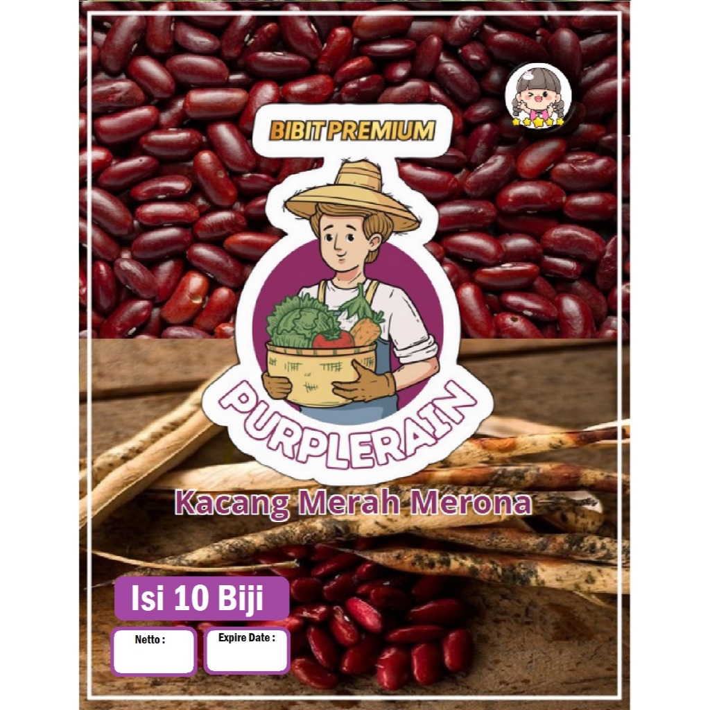 Bibit Premium Kacang Merah Merona | Benih Kacang Merah Merona