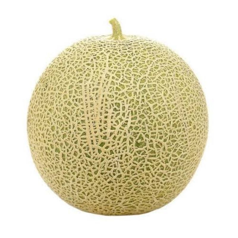

Melon Oren