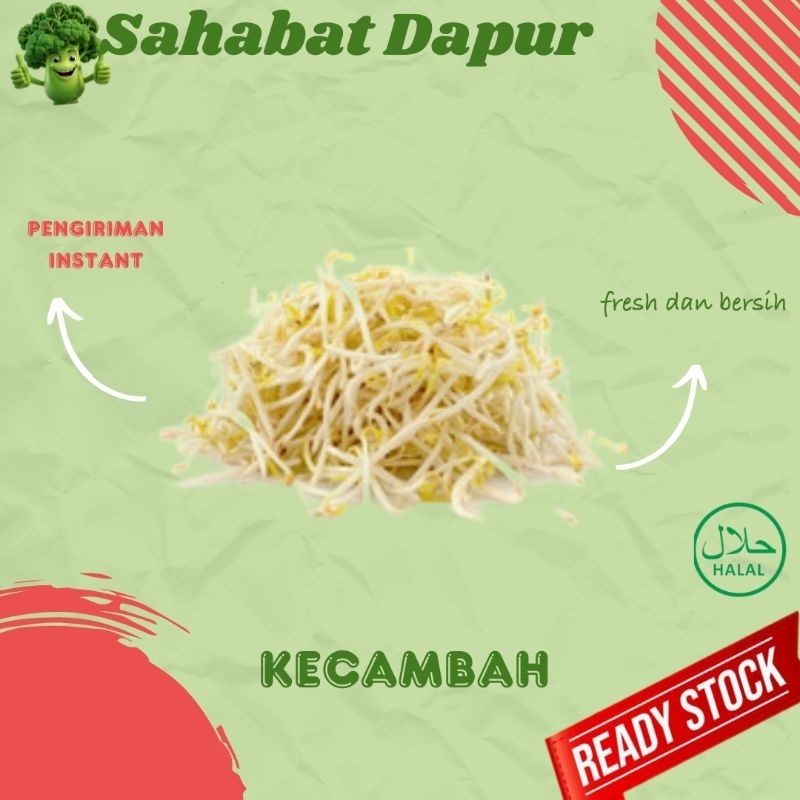 

Kecambah / cambah - Sayuran segar - Sahabat dapur Delivery