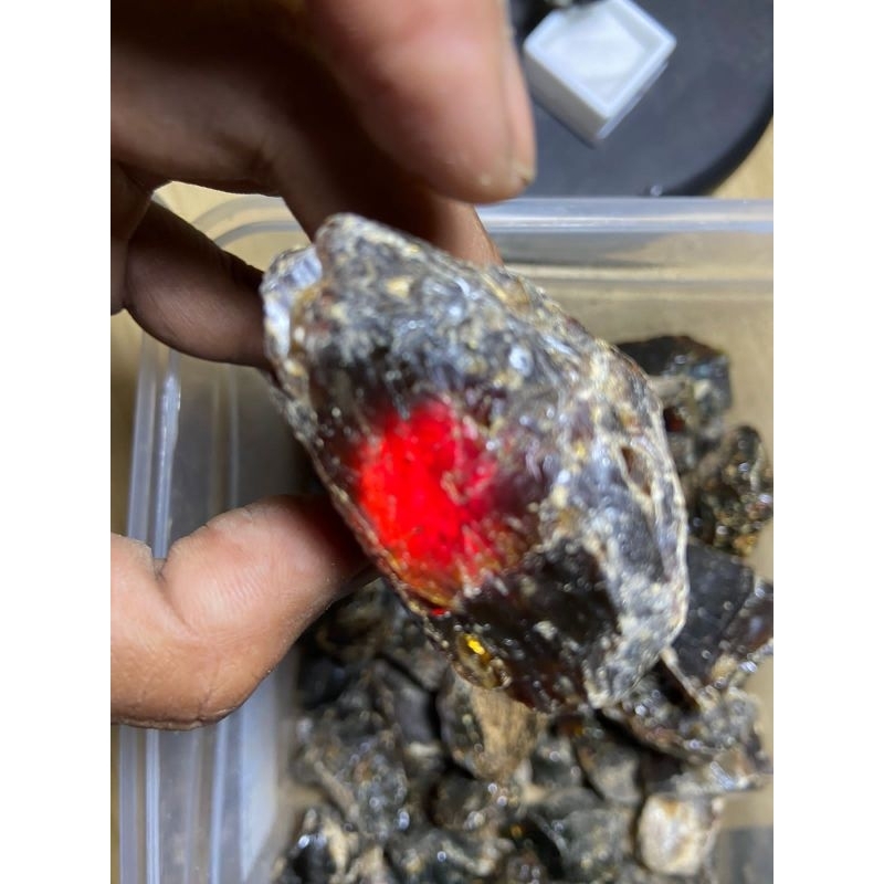 batu akik getah amber/ katilayu merah