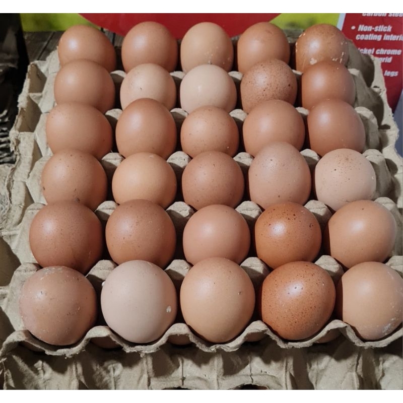 

Telor ayam ras asli payakumbuh