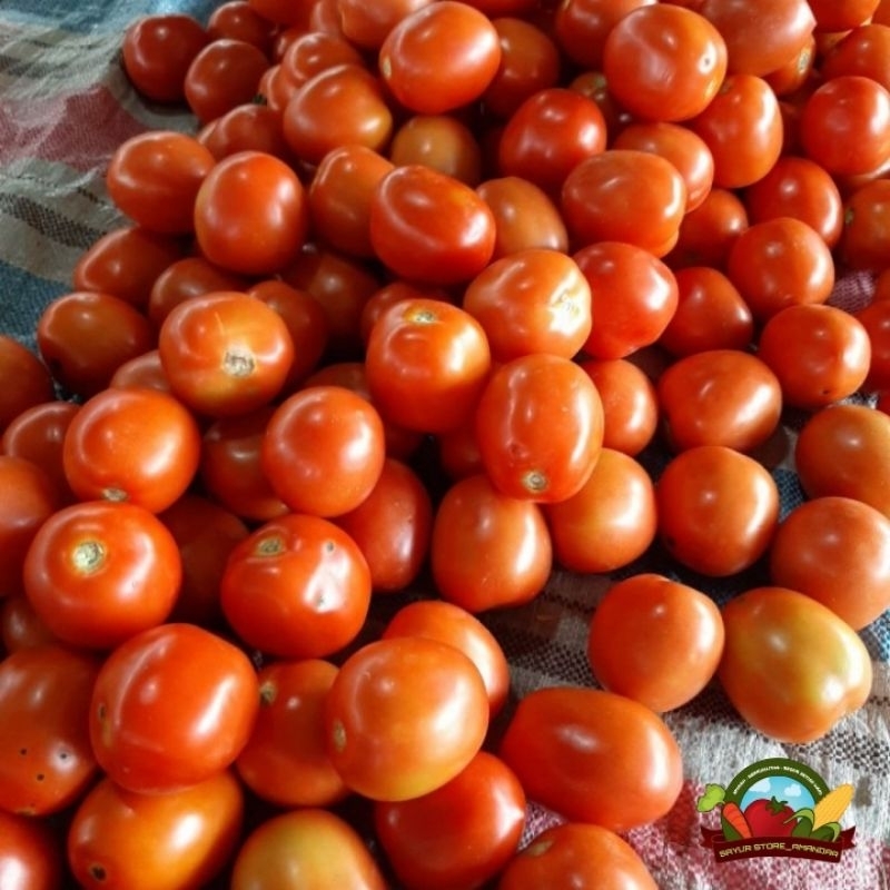 

Tomat/Tomat kecil /tomat sambelan