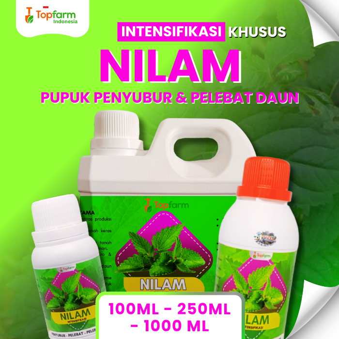 Pupuk Cair Khusus Tanaman Nilam / Pupuk Nilam Penambah Minyak / Booster Nilam Terbaik / Pupuk Peleba