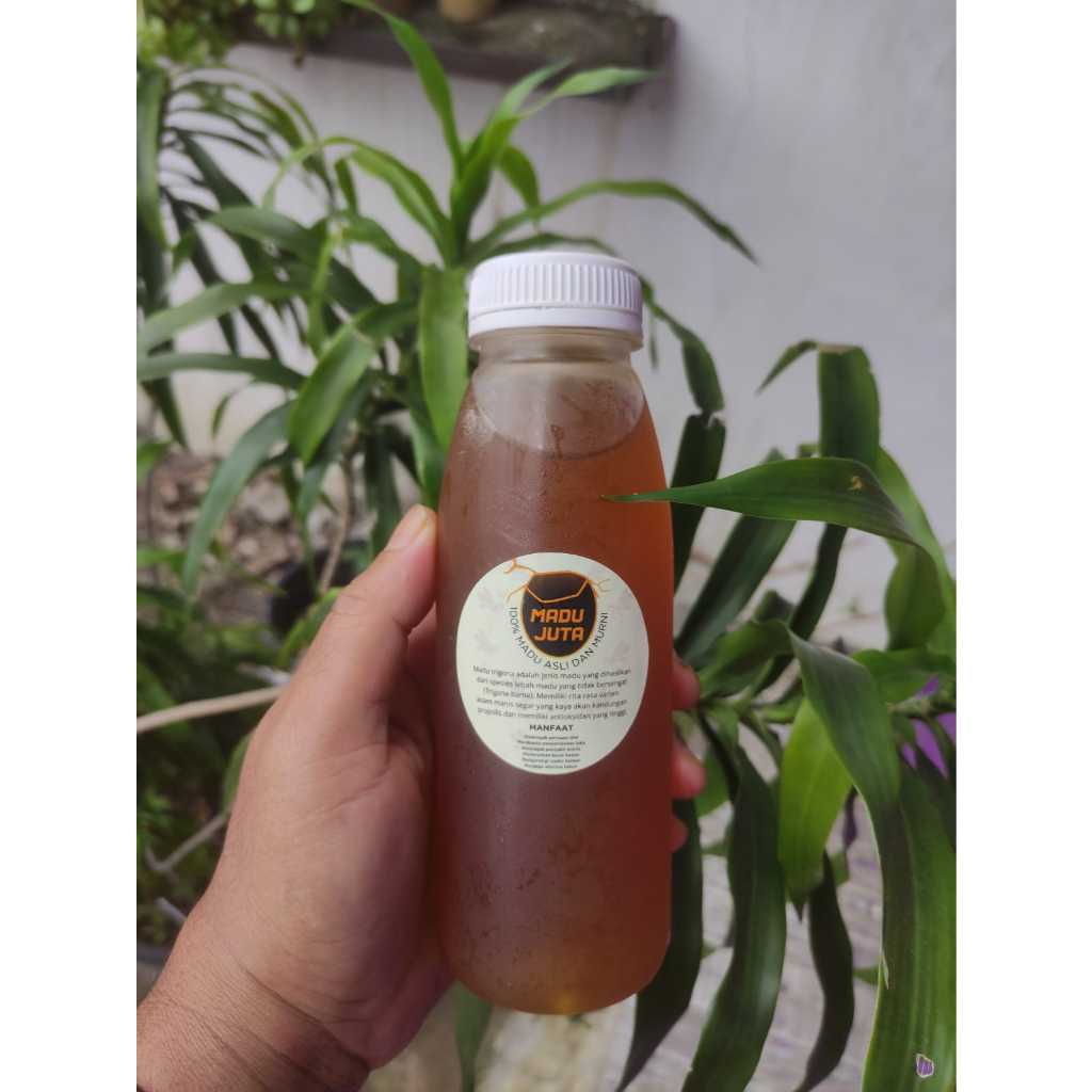 

MADU JUTA 250 Gr (100% MADU TRIGONA ASLI DAN MURNI)