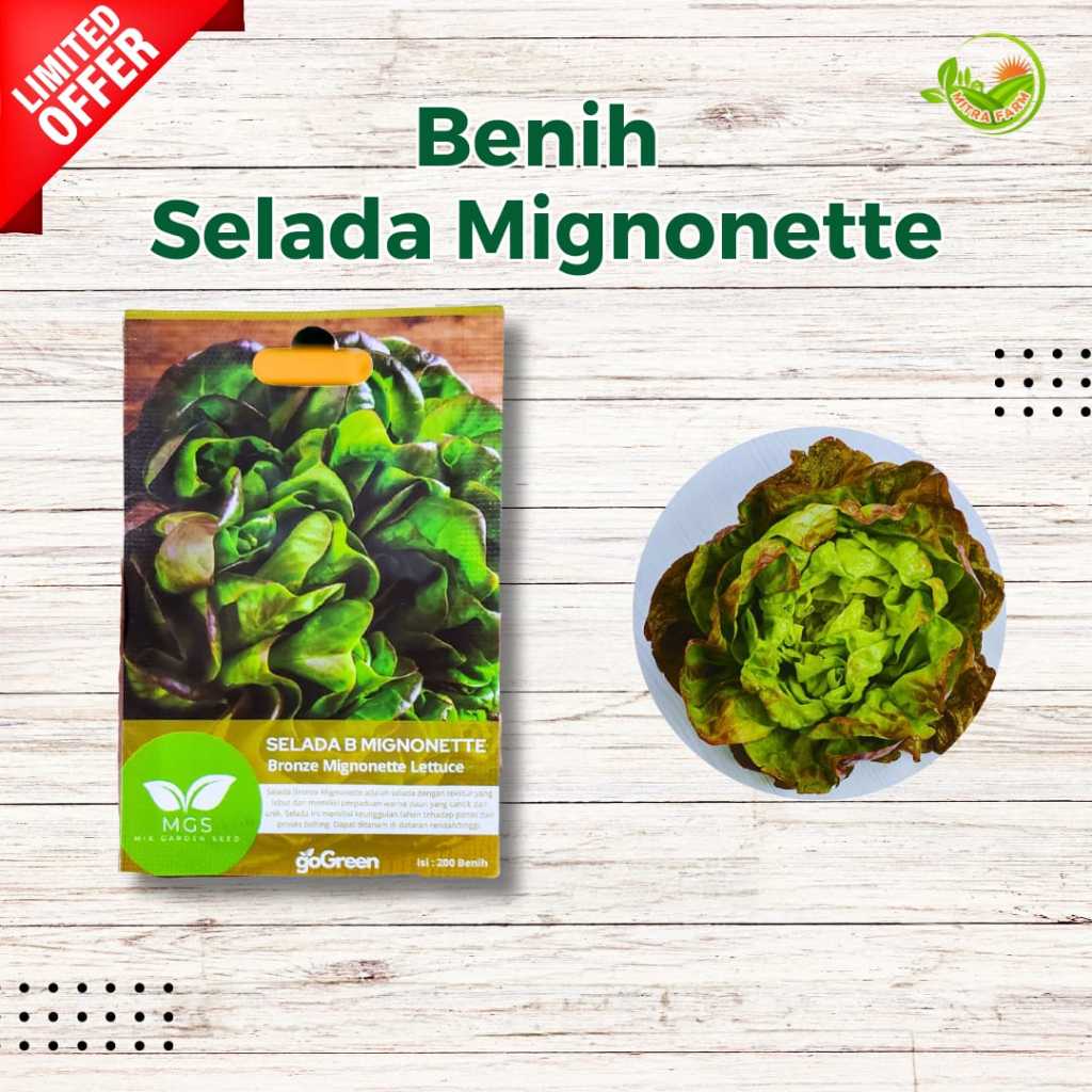 Benih Selada Mignonette/Selada Mignonette Merah/Selada Air