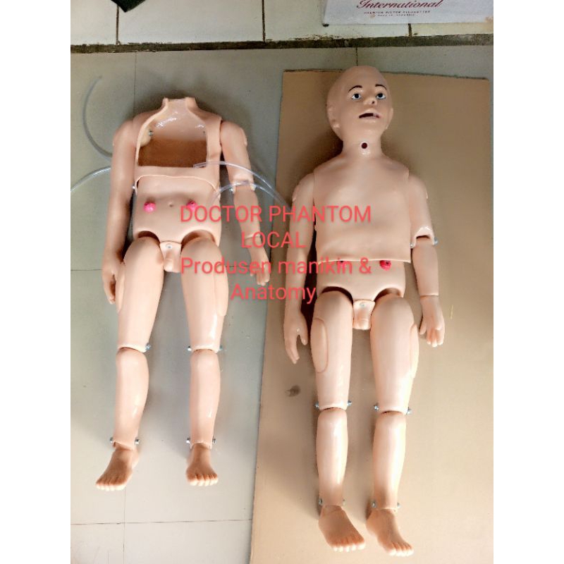 MANIKIN ANAK BODY FULL PHANTOM MANIKIN