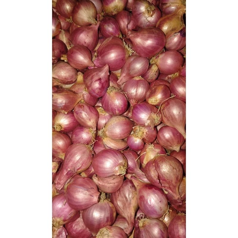 

Bawang merah sedang campur 250 grm Termurah