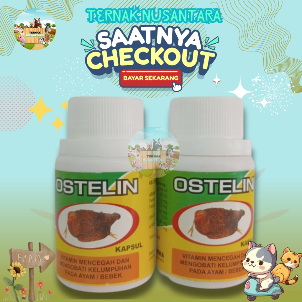 OSTELIN 50 KAPSUL - Cegah & Obati Kelumpuhsn Pada Ayam Bebek - Obat Ayam Lumpuh Ampuh - Obat Ayam Pi