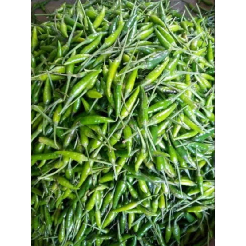 

CENGEK HIJAU Super Fress 1 Kg