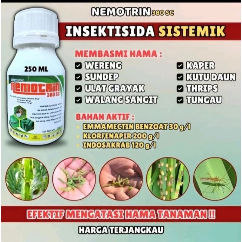 INSEKTISIDA NEMOTRIN 380SC SISTEMIK PEMBASMI HAMA ULAT GRAYAK SEMUA JENIS ULAT