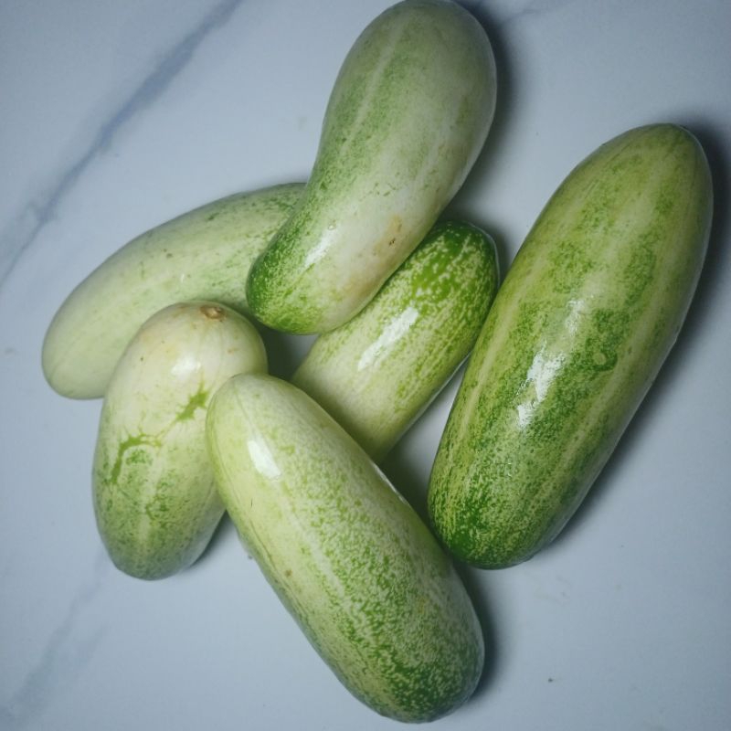 

Timun Mentimun Ketimun (Cucumis sativus) 1kg Sayur Anti Darah Tinggi