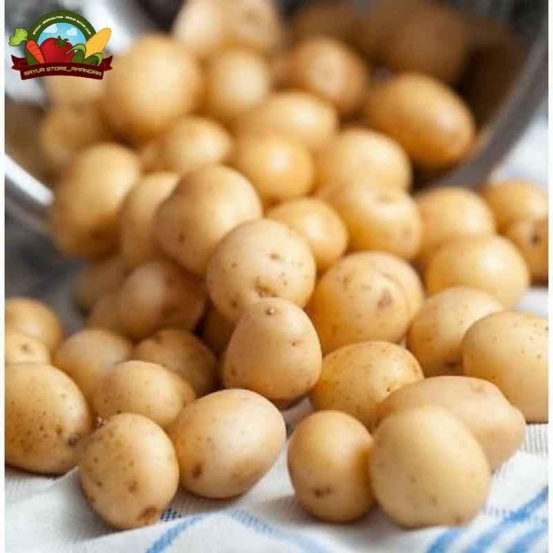 

Kentang kecil/ Kentang baby/ Baby potato