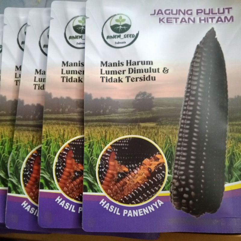 benih jagung pulut hitam original