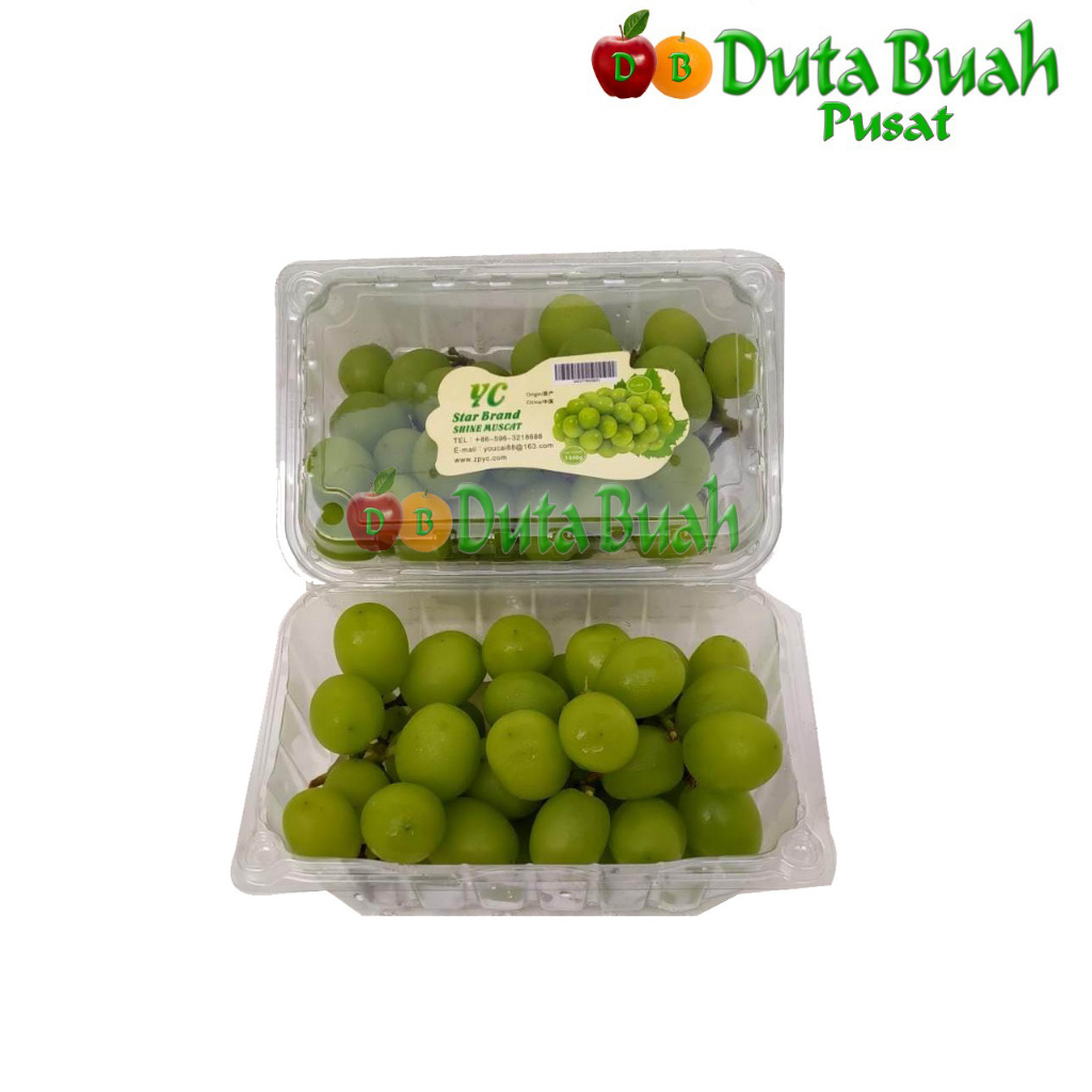

DUTA BUAH Anggur Hijau Shine Muscat (+-500g/pack)
