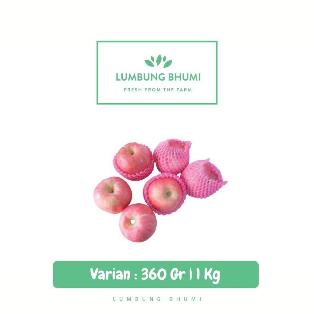 

Apel Fuji Biasa Buah - Lumbung Bhumi